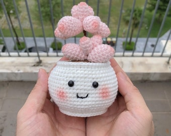 Crochet Pattern Peach Succulent Pot – Cute Amigurumi Plant PDF Pattern – Easy Potted Succulent Crochet Pattern for Home Decor & Gifts