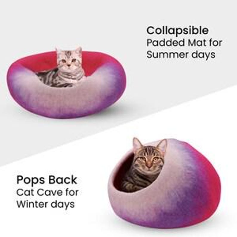 May include: Two images of a cat bed. One is a round, open bed in shades of pink, purple, and white, with a cat inside. The other is a similar bed, but enclosed, resembling a cave. Text reads: "Collapsible Padded Mat for Summer days" and "Pops Back Cat Cave for Winter days."