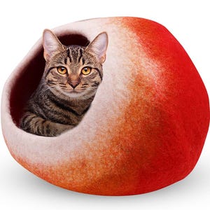 May include: A tabby cat inside a red, orange, and white felted cat bed. The cat bed is a rounded shape with an opening for the cat to enter. The cat is looking directly at the viewer.