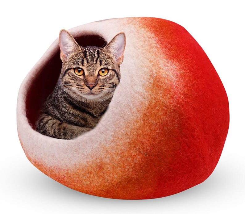 May include: A tabby cat inside a red, orange, and white felted cat bed. The cat bed is a rounded shape with an opening for the cat to enter. The cat is looking directly at the viewer.
