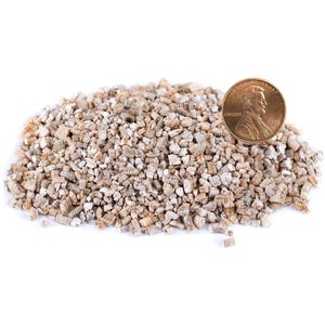 Puede incluir: Un montón de vermiculita granular de color marrón claro, un mineral utilizado en jardinería. Se coloca una moneda de cobre encima para comparar el tamaño. La moneda muestra el perfil de un hombre.