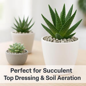 May include: Three potted succulents in white and gray ceramic pots. The succulents are green with various textures and shapes. The text at the bottom reads "Perfect for Succulent Top Dressing & Soil Aeration."