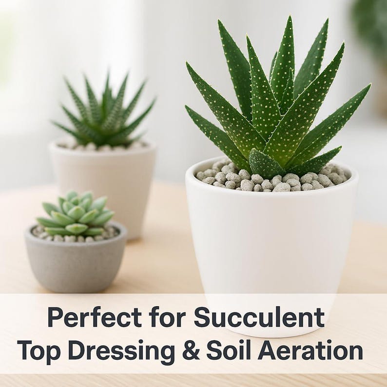 May include: Three potted succulents in white and gray ceramic pots. The succulents are green with various textures and shapes. The text at the bottom reads "Perfect for Succulent Top Dressing & Soil Aeration."
