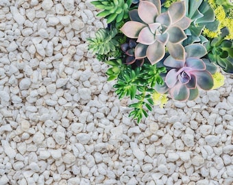 Perlita gruesa para horticultura/perlita gruesa para mejorar el suelo, mejorar la aireación y el drenaje, así como para suculentas, cactus y orquídeas.