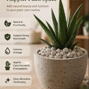 May include: A potted aloe vera plant with green leaves and small, round, light-colored stones on top of the soil. The plant is in a gray concrete pot. The image includes text about plant care.