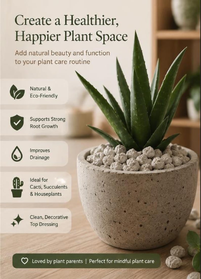 May include: A potted aloe vera plant with green leaves and small, round, light-colored stones on top of the soil. The plant is in a gray concrete pot. The image includes text about plant care.