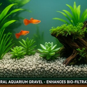 May include: An aquarium scene with orange fish swimming among green plants and a decorative piece of driftwood. The tank features natural aquarium gravel and a variety of aquatic plants. The text at the bottom reads "NATURAL AQUARIUM GRAVEL - ENHANCES BIO-FILTRATION."