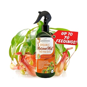 May include: A dark green Gardenwise Organic Marina Mist Foliar Kelp Spray bottle with a black spray nozzle. A red tag reads "Up to 70 Feedings!". The bottle is in front of a potted plant with green leaves and red and yellow flowers.