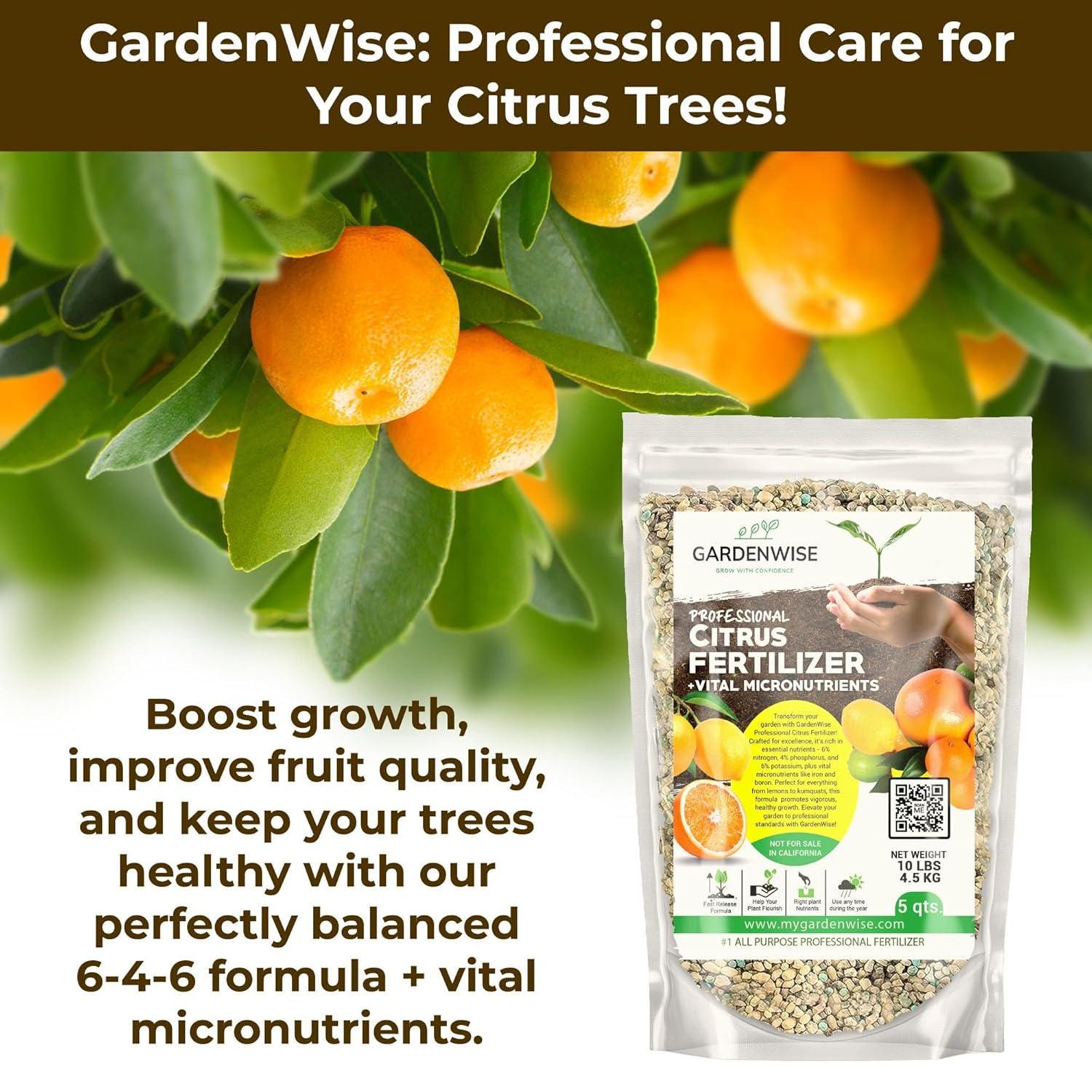 Citrus Tree Fertilizer 6-4-6 | Slow Release Plant Food - Etsy