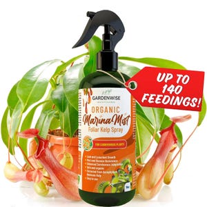 Venus flugfälla och köttätande växtnäringsspray | Organisk kelpbladgödsel för sileshår Nepenthes kanna | Marina Mist