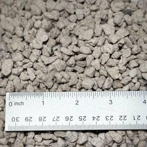 May include: Close-up of a pile of light gray pumice stones. A ruler is placed across the stones, showing measurements in inches. The stones have a rough, porous texture and vary in size.