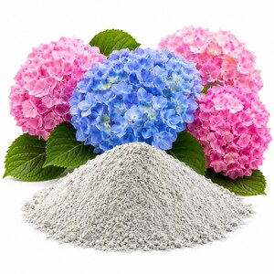 May include: A large, conical pile of fine, light gray powder positioned in front of three vibrant hydrangea flower clusters. The flowers feature rounded heads with numerous small petals in shades of bright pink and deep blue, accented by green leaves.