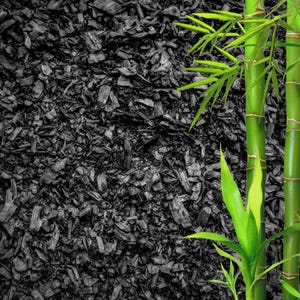 Puede incluir: Imagen de primer plano de un montón de astillas de madera de color gris oscuro con una planta de bambú verde vibrante en la esquina derecha. Los tallos de bambú son de color verde brillante y las hojas son de un verde vivo.