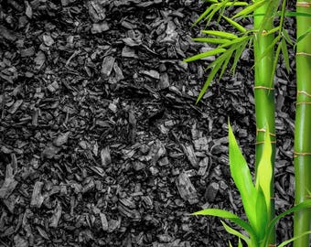 Horticultural Charcoal Biochar | Orchid & Houseplant Soil Amendment