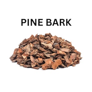 May include: A pile of pine bark pieces in shades of brown and tan against a white background. The text "PINE BARK" is displayed in bold, black letters above the pile of bark.