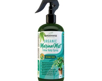 Organic Marina Mist Money Tree Spray (8 oz / 16 oz)