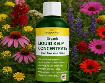 Organic Liquid Kelp Fertilizer for Succulents & Cactus | Seaweed Plant Food | Root Booster and Growth Support