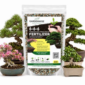 Pode incluir: Uma bolsa de plástico transparente com fertilizante para bonsai de libertação lenta 6-6-6 contendo grânulos multicoloridos. O rótulo apresenta a marca Gardenwise, texto, um código QR e um peso de 8 oz, rodeado por quatro árvores bonsai.