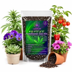 Può includere: Una busta di plastica trasparente di terriccio GreenLab Autoflower Soil Mix contenente terra scura con perlite bianca. L'etichetta presenta un'icona di foglia di cannabis, dettagli sugli input organici e un volume di 1 Quart.