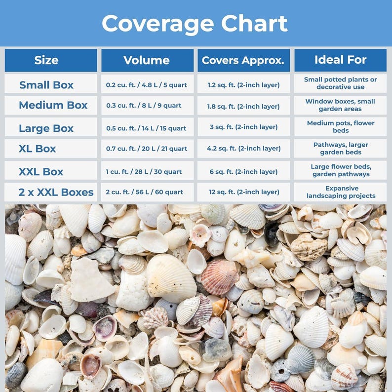 Volume Seashell Natural Sea Shell Mulch, Decorative Coastal Garden Landscaping - Etsy