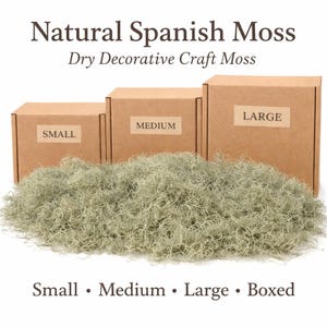 Op de afbeelding: Natuurlijk Spaans mos, een droog decoratief ambachtelijk mos, wordt getoond in drie maten: klein, medium en groot. Het mos heeft een lichtgroene kleur en is verpakt in bruine kartonnen dozen. De tekst op de dozen geeft de maat aan.