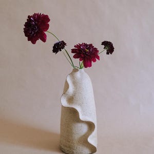 May include: A speckled, off-white ceramic vase with a unique, wavy design. The vase holds several dark red flowers with a deep purple center. The flowers are arranged to the left of the vase against a neutral background.