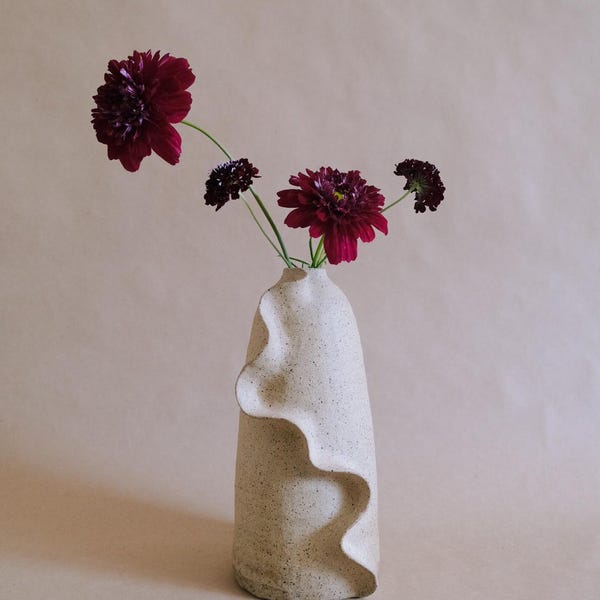 Aleta Vase // handmade ceramic pottery