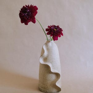 May include: A speckled, off-white ceramic vase with a unique wavy design on the side, holding two deep burgundy flowers. The flowers have a textured appearance and are in full bloom. The vase is a decorative item.