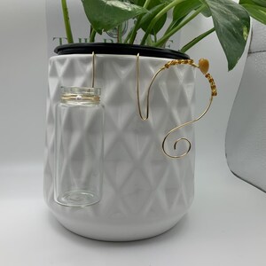 May include: A white ceramic planter with a geometric pattern, holding a green plant. A small glass vial and a decorative gold wire plant accessory with amber-colored beads are attached to the planter.
