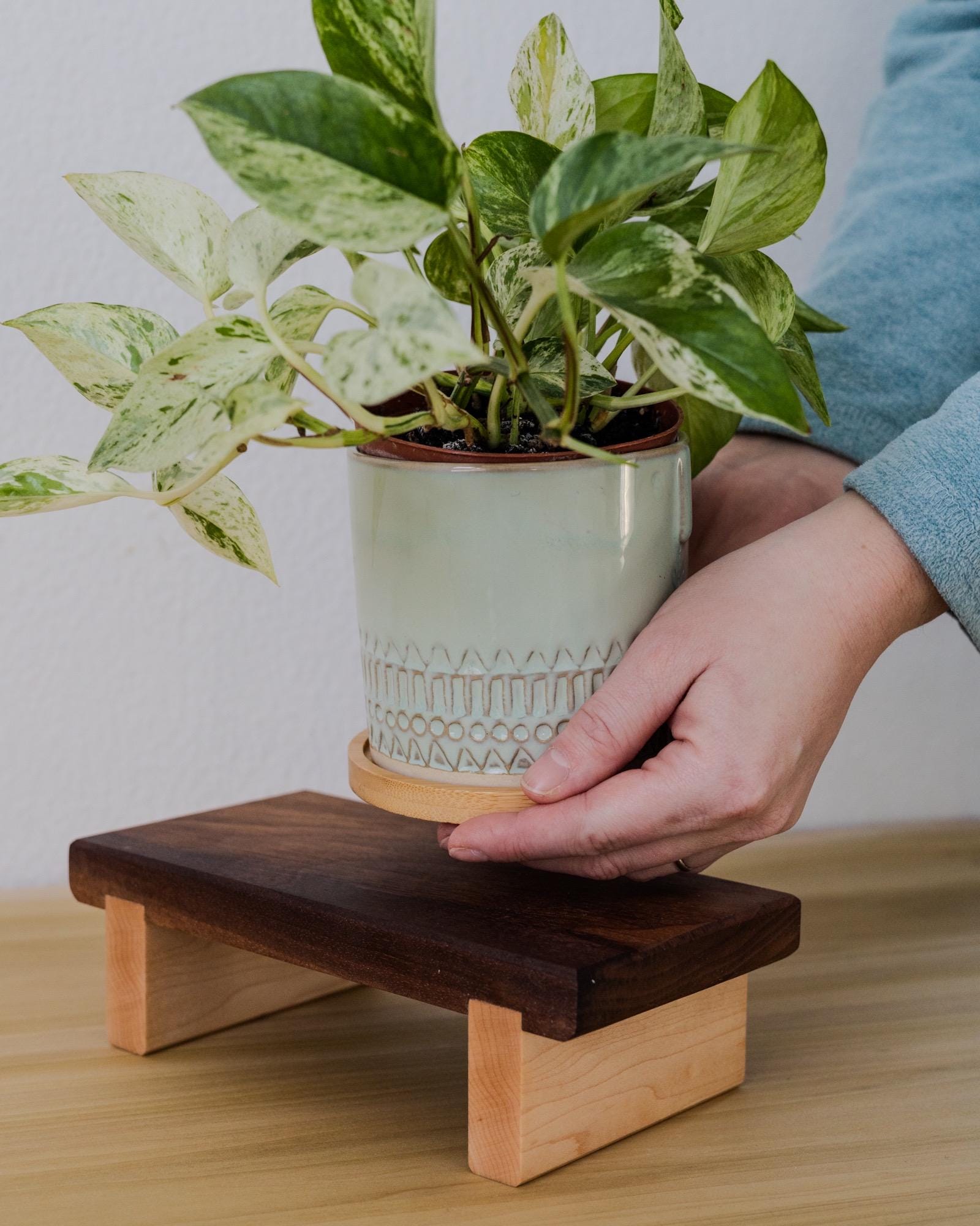 Modern Midcentury Plant Stand Riser (for Desk Organization, Kitchen ...