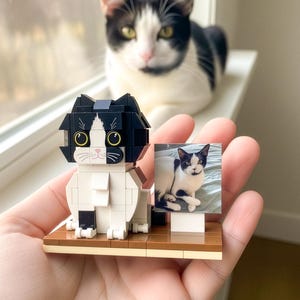 Anpassad tegelkattfigur med ram, personlig tegelkatt, ABS-plastminiatyr