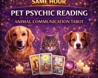 Instant Pet Psychic Reading 1H | Animal Communication Reading | Pet Tarot Reading | Lost Pet Energy Connection