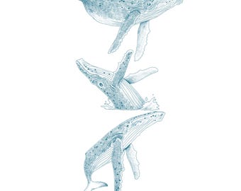 手描きのザトウクジラ PNG、手描きのクジラのイラスト3点、クリップアート、即時ダウンロード