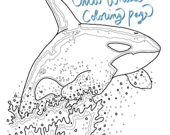 シャチのぬり絵、手描きのシャチのイラスト、即時ダウンロード、ぬり絵