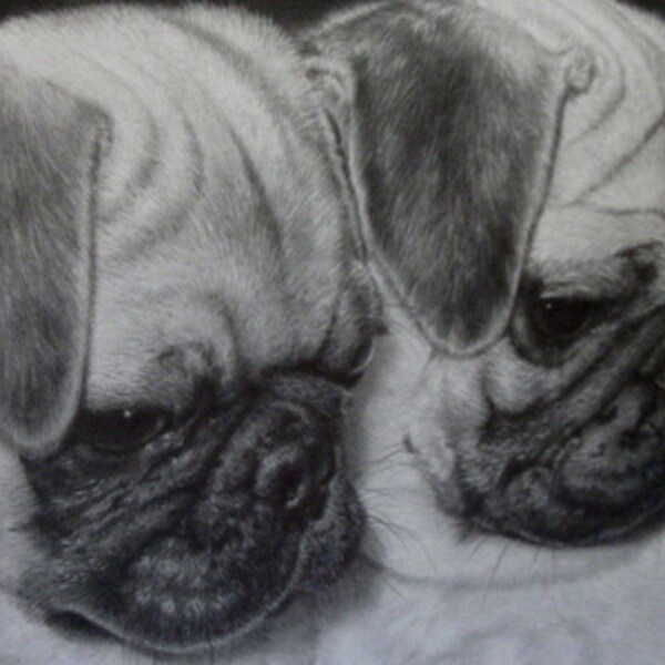 Original Graphite Drawing / Pugs/ Puppies/ Dogs/ Pets