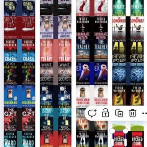Digital Mini Books- Freida McFadden Collection