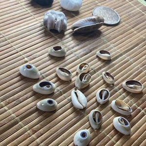 Op de afbeelding: Een verzameling schelpen en kleine stenen gerangschikt op een bamboemat. De schelpen vari&euml;ren in grootte en vorm, met een mix van witte, bruine en bruine tinten. Er zijn ook een paar donkergrijze en witte stenen.