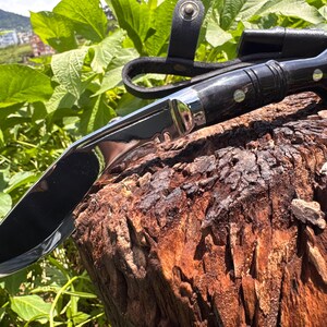 May include: A black and silver hunting knife with a polished blade and a dark wooden handle. The knife is resting on a weathered, brown tree stump, with a black leather sheath visible. Green foliage is in the background.