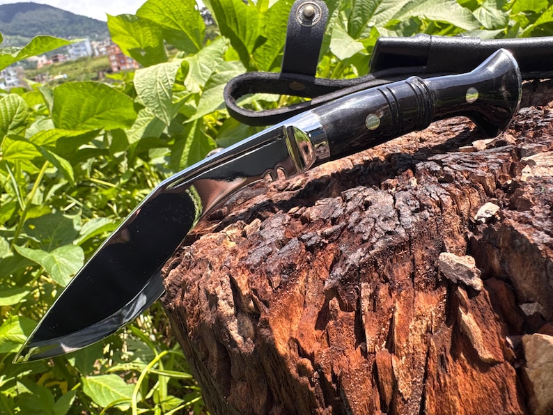 May include: A black and silver hunting knife with a polished blade and a dark wooden handle. The knife is resting on a weathered, brown tree stump, with a black leather sheath visible. Green foliage is in the background.