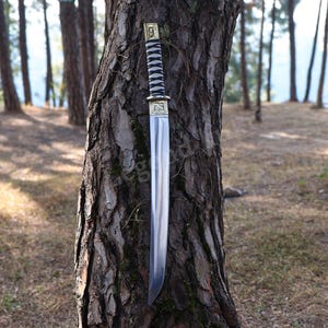 Puede incluir: Una espada plateada con un mango a rayas blancas y negras se muestra contra un tronco de árbol en un entorno forestal. La espada tiene una empuñadura dorada y una hoja larga y recta. El fondo presenta árboles y un paisaje borroso.