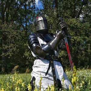 May include: A knight in full armor kneels in a field of yellow flowers, holding a sword. The armor is black and silver, with a helmet featuring a red cross. The sword has a red blade. The knight is wearing a white tunic with a black belt.
