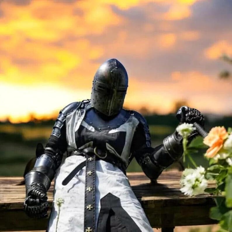 May include: A person in full knight armor, including a helmet, gauntlets, and a white and black tunic, holding flowers. The armor is dark metal, and the tunic features a cross design. The background shows a sunset.