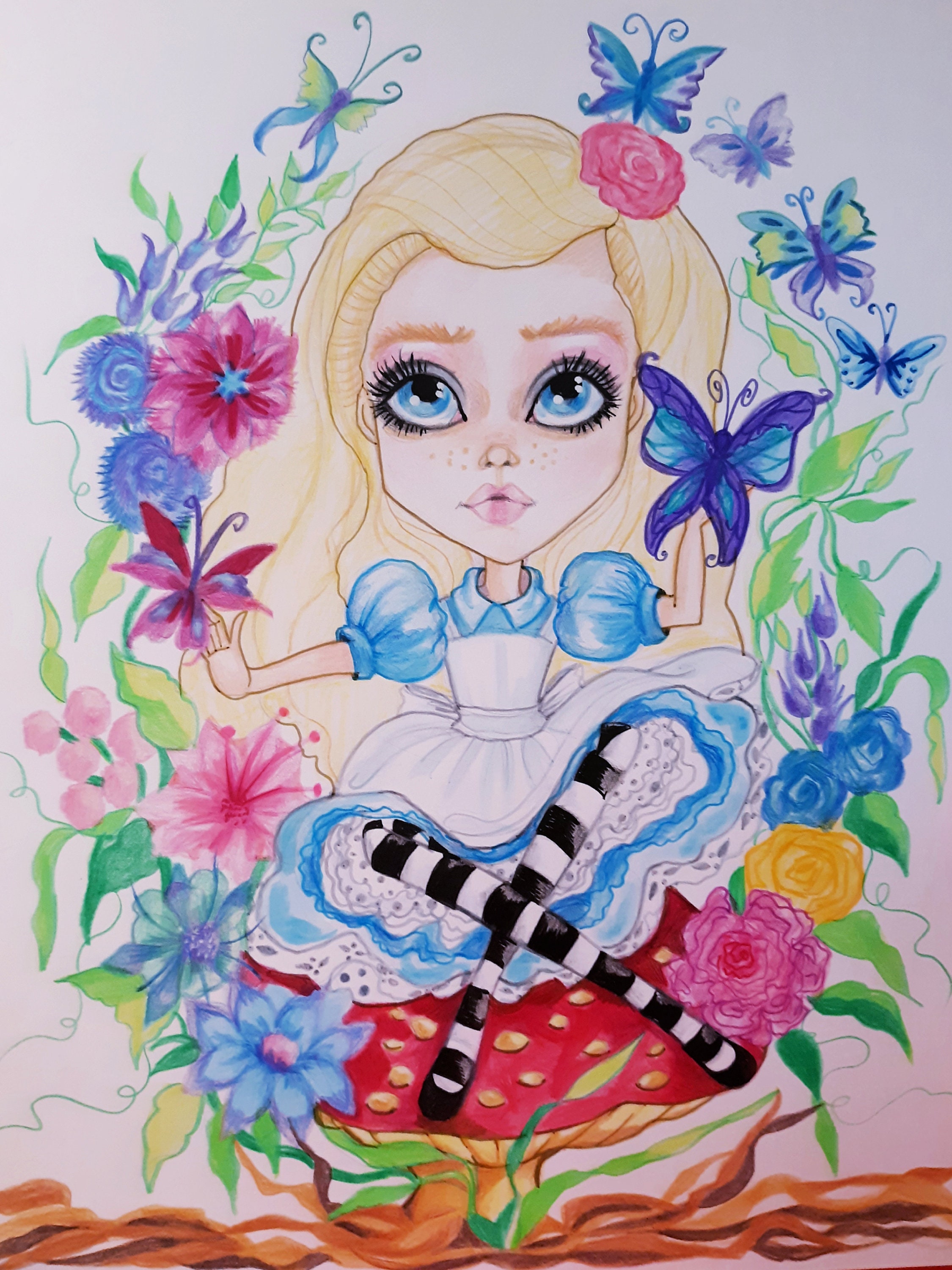 写真集　 ALICE in Wonderland Alice in Wonderland: Paul Zindel: 9780876601631: Amazon.com