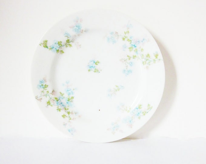 Haviland Limoges France Me Not Chintz Floral Plate Etsy