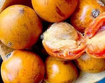 Sweet Coutonu Agbalumo/Udara/African Cherry
