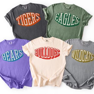 Comfort Colors Custom School Mascot Tshirt,Vintage School Logo Shirt,Team Mascot Name Tee,Custom Name Gifts For Back To School,Custom Sports