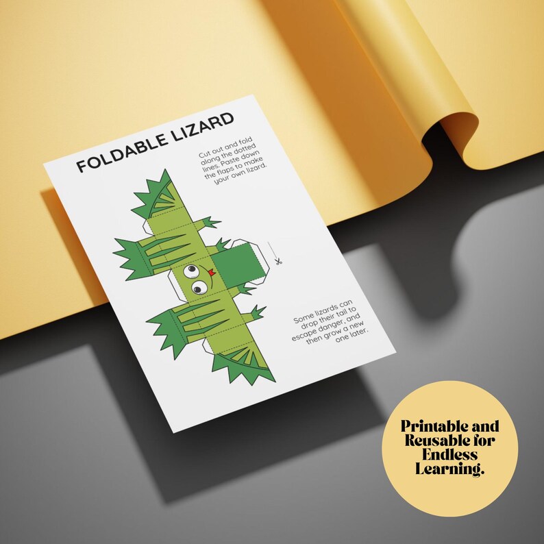 Printable STEM Animal Crafts for Kids – 13-page Foldable Cut, Color ...