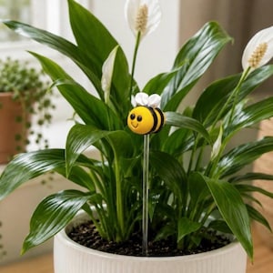 May include: A yellow and black bee-shaped plant stake with white fabric wings and a smiling face, mounted on a clear acrylic rod. The bee is positioned among the dark green leaves and white spathe flowers of a potted peace lily plant.