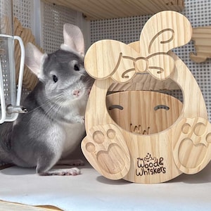 Handmade Pine Wood Easter Egg Hideout – Small Pet Ledge
