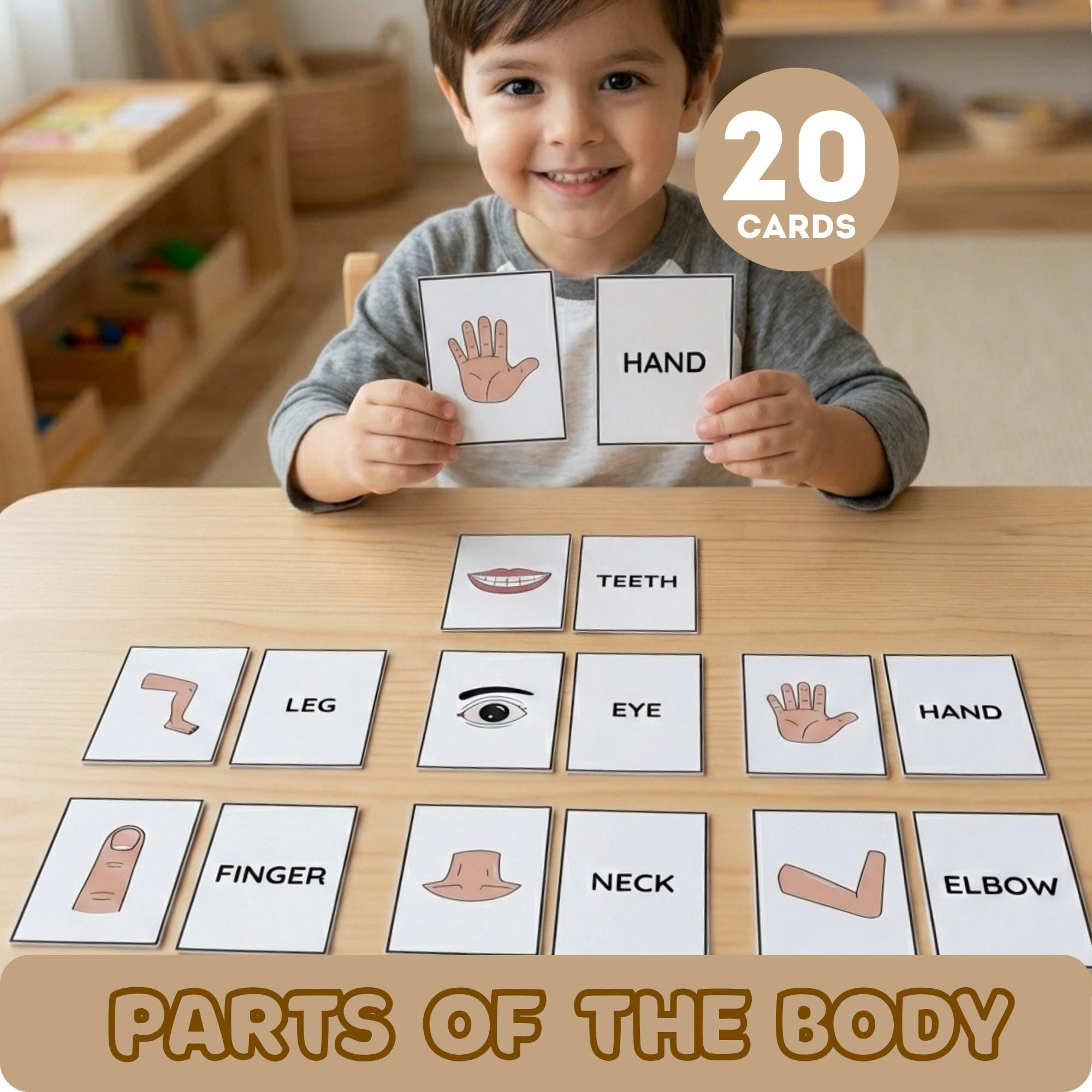 Human Body Parts Flashcards for Kids, Toddler Anatomy Learning, ESL ...